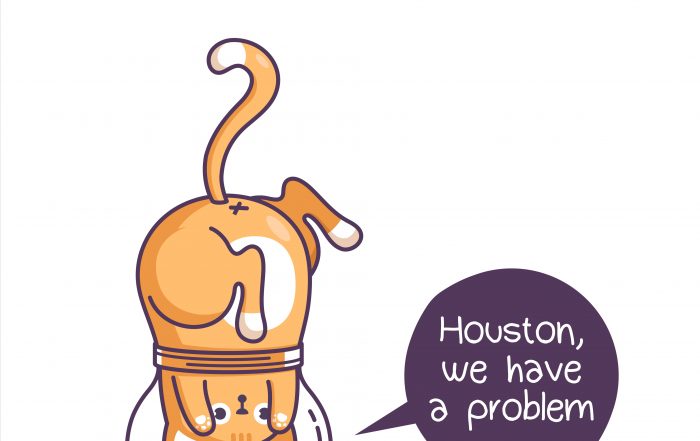 error web page. error 404. funny cats